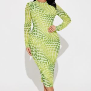 Paola Polka Dot Mesh Midi Dress